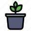 pot, plant, gardening, agriculture, tree 