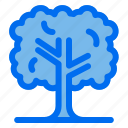 tree, forest, nature, plant, agriculture