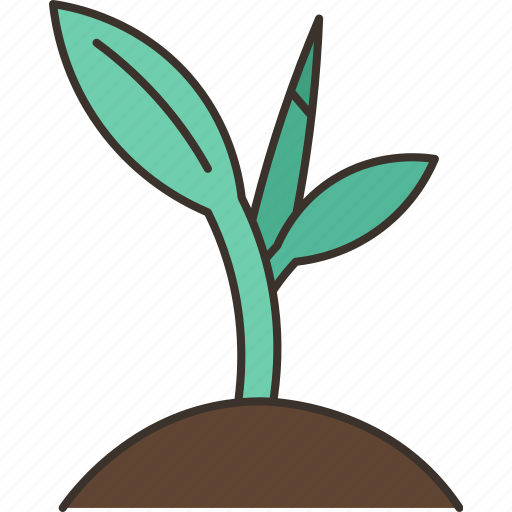 Sprout, growth, plant, cultivated, gardening icon - Download on Iconfinder