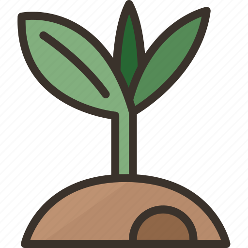Sprout, plant, seedling, growth, nature icon - Download on Iconfinder