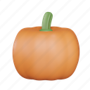 pumpkin, quash, gourd, halloween, orange, jack-o&#x27;-lantern, autumn, harvest, fall