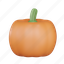pumpkin, quash, gourd, halloween, orange, jack-o&#x27;-lantern, autumn, harvest, fall 