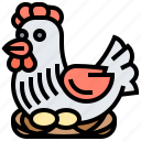animal, chicken, eggs, hen, livestock