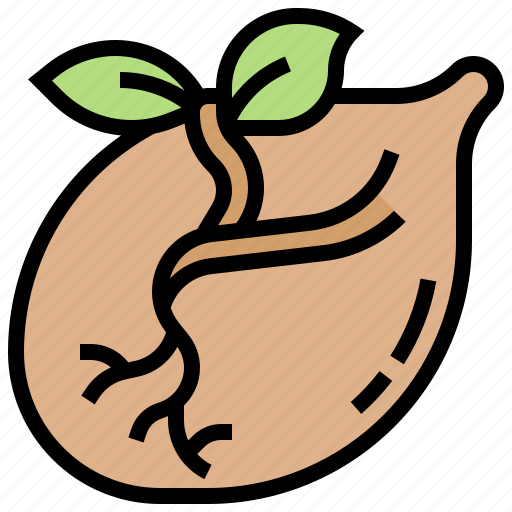 Germination, nature, plant, seedling, seeds icon - Download on Iconfinder