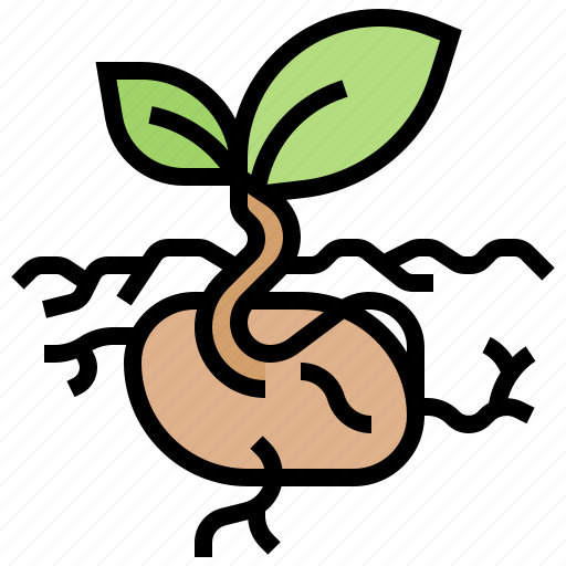 Germinate, grow, plant, seedling, sprout icon - Download on Iconfinder