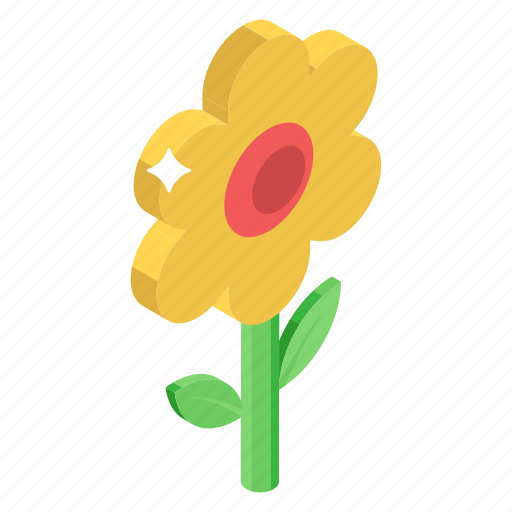 Daisy, floral, flower, fragrance, nature, plant icon - Download on Iconfinder