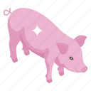 animal, farm animal, farm pig, oink, pork