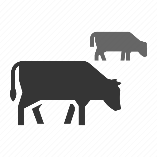 Angus, beef, cattle, cow, cows, farm icon - Download on Iconfinder