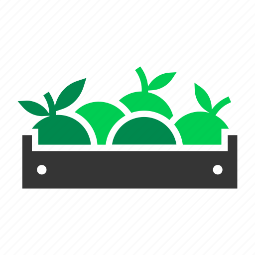 Box, crate, fruit, fuit, harvest, oranges, organic icon - Download on Iconfinder