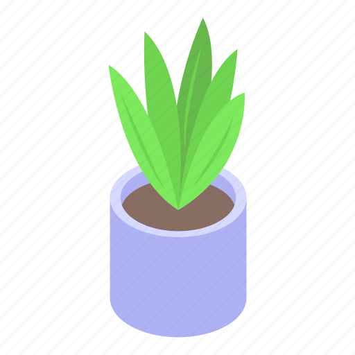 Flower, pot, isometric icon - Download on Iconfinder