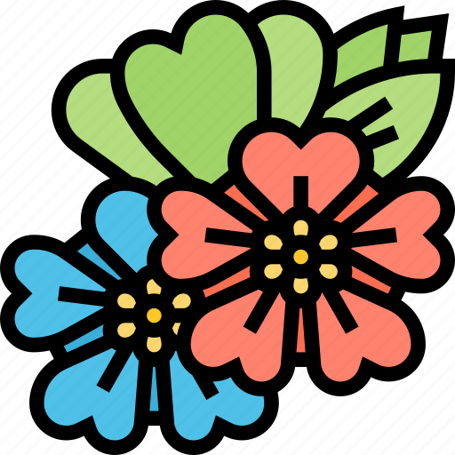 Alpine, flower, forget, flora, nature icon - Download on Iconfinder