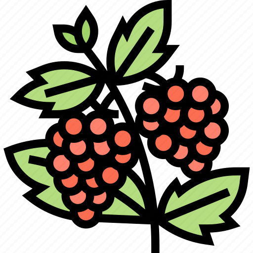 Berries, fruit, garden, crops, harvest icon - Download on Iconfinder