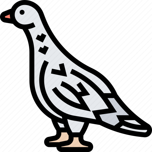 Bird, willow, ptarmigan, grouse, arctic icon - Download on Iconfinder