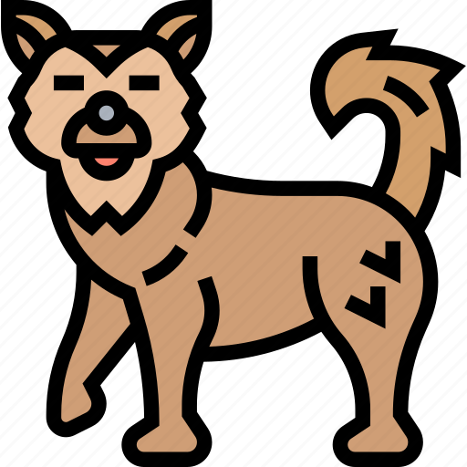 Dog, alaskan, malamute, canine, kennel icon - Download on Iconfinder