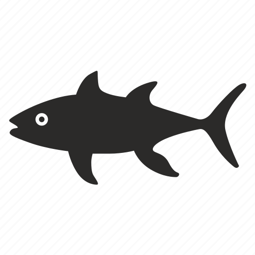 Fish, predator, river, tuna icon - Download on Iconfinder