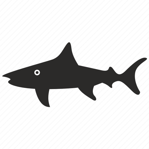 Fish, killer, predator, shark, young icon - Download on Iconfinder
