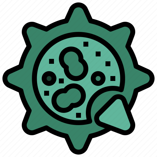 Allergy, and, fungus, healthcare, humidity, medical, mould icon - Download on Iconfinder