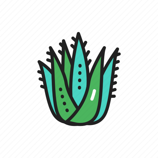 Aloe, vera icon - Download on Iconfinder on Iconfinder