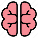 mind, brain icon, brain, organ, idea