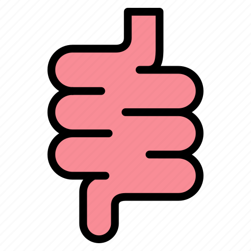 Digestion, colon, organ, stomach, intestines icon - Download on Iconfinder