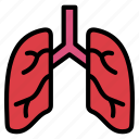 organ, lung, lungs, breath, respiratory