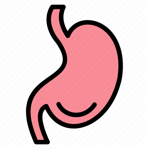 Bowel, digestion, stomach icon, stomach, intestines icon - Download on Iconfinder