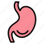 bowel, digestion, stomach icon, stomach, intestines 