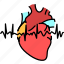 cardiology, heart, irregular, heartbeat 