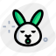 rabbit, sleepy, emoticons, animal 