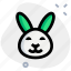 rabbit, smiling, emoticons, animal 