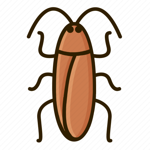 Animal, bug, cockroach icon - Download on Iconfinder