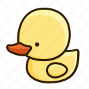 animal, baby, chick, duck 