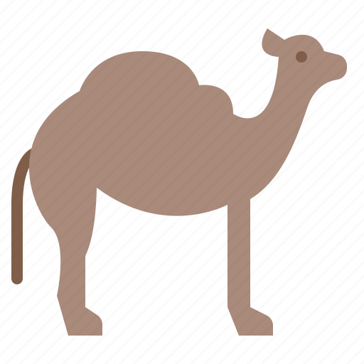 Animal, camel, life, wild, zoo icon - Download on Iconfinder