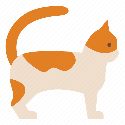 Animal, cat, life, wild, zoo icon - Download on Iconfinder