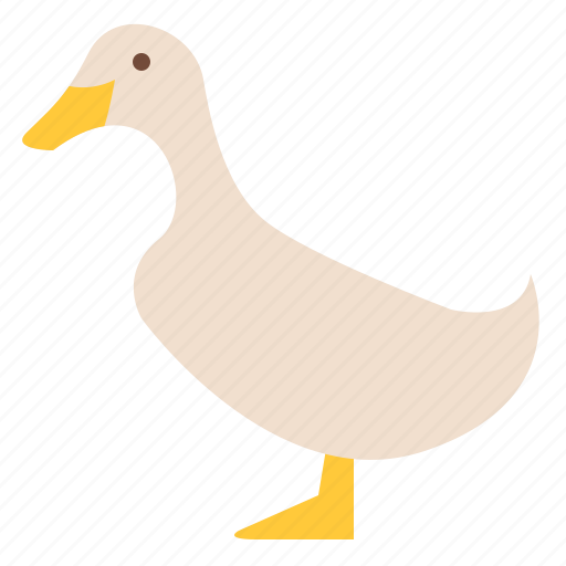 Animal, duck, life, wild, zoo icon - Download on Iconfinder
