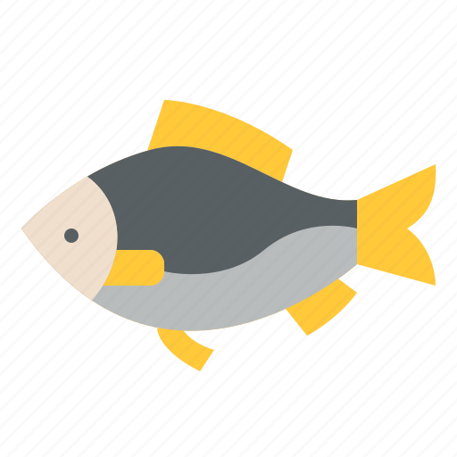Animal, fish, life, wild, zoo icon - Download on Iconfinder