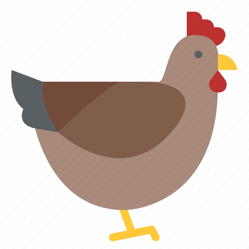 Animal, hen, life, wild, zoo icon - Download on Iconfinder