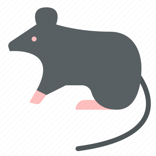 Animal, life, mouse, wild, zoo icon - Download on Iconfinder