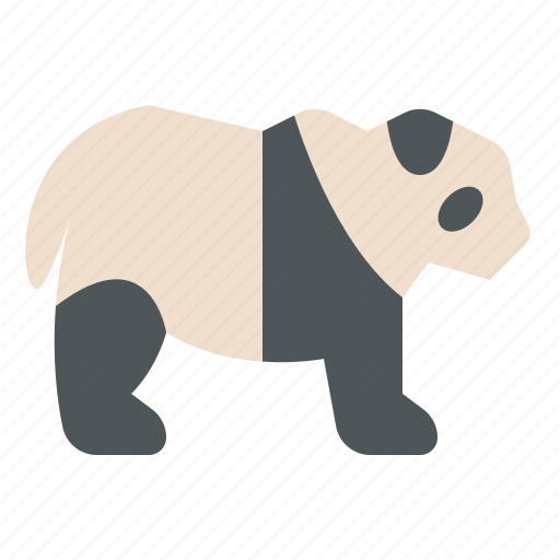 Animal, life, panda, wild, zoo icon - Download on Iconfinder