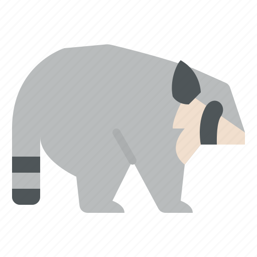 Animal, life, racoon, wild, zoo icon - Download on Iconfinder