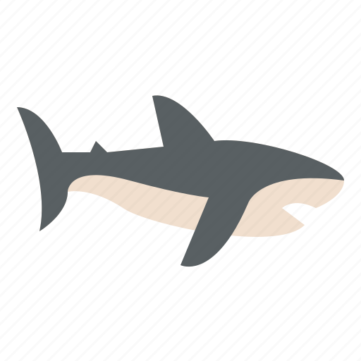 Animal, life, shark, wild, zoo icon - Download on Iconfinder