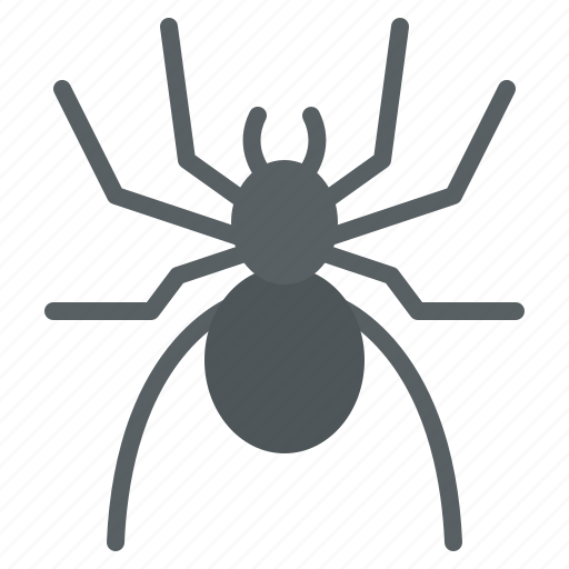 Animal, life, spider, wild, zoo icon - Download on Iconfinder