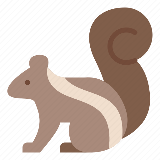 Animal, life, squirrel, wild, zoo icon - Download on Iconfinder