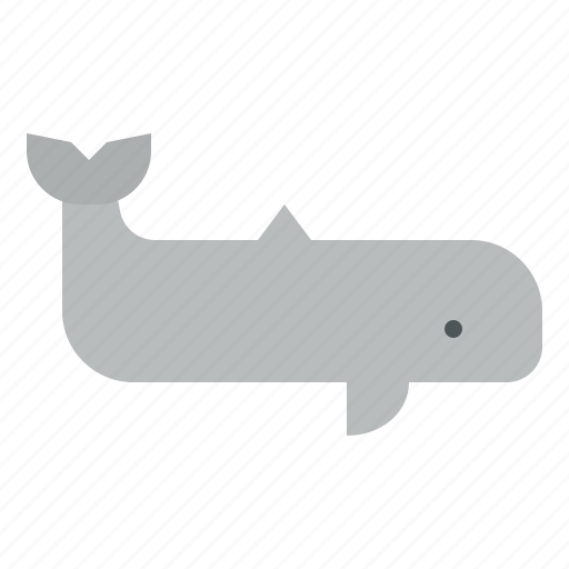 Animal, life, whale, wild, zoo icon - Download on Iconfinder