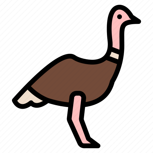 Animal, life, ostrich, wild, zoo icon - Download on Iconfinder