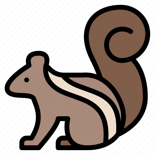 Animal, life, squirrel, wild, zoo icon - Download on Iconfinder