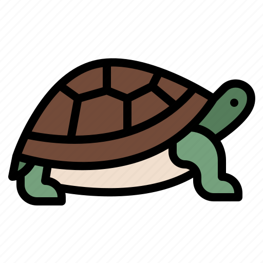 Animal, life, turtle, wild, zoo icon - Download on Iconfinder