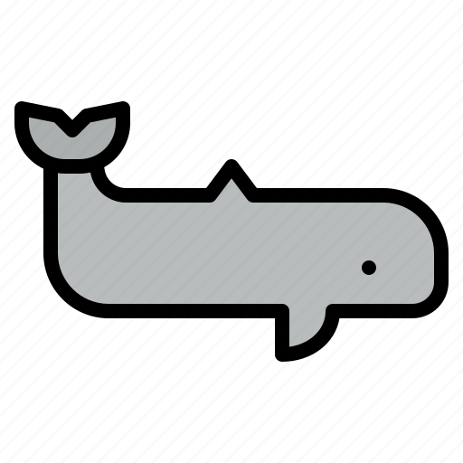 Animal, life, whale, wild, zoo icon - Download on Iconfinder