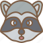 animal, avatar, avatars, raccoon 