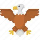 eagle, america, american, bird, independence, united states, us 